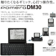 KingJim Digital Memo Pomera Silver DM30 - Good e-Reader