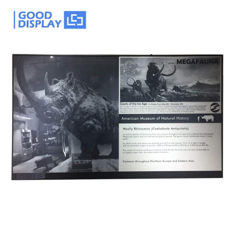 largest 31.2 inch e-ink big screen menu advertising display large e-ink display, GDEP312TT2-D