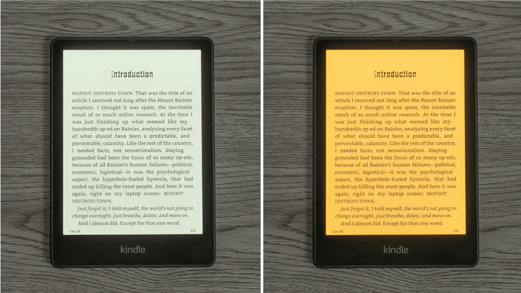 A New  Kindle Paperwhite 5 Color Alternative