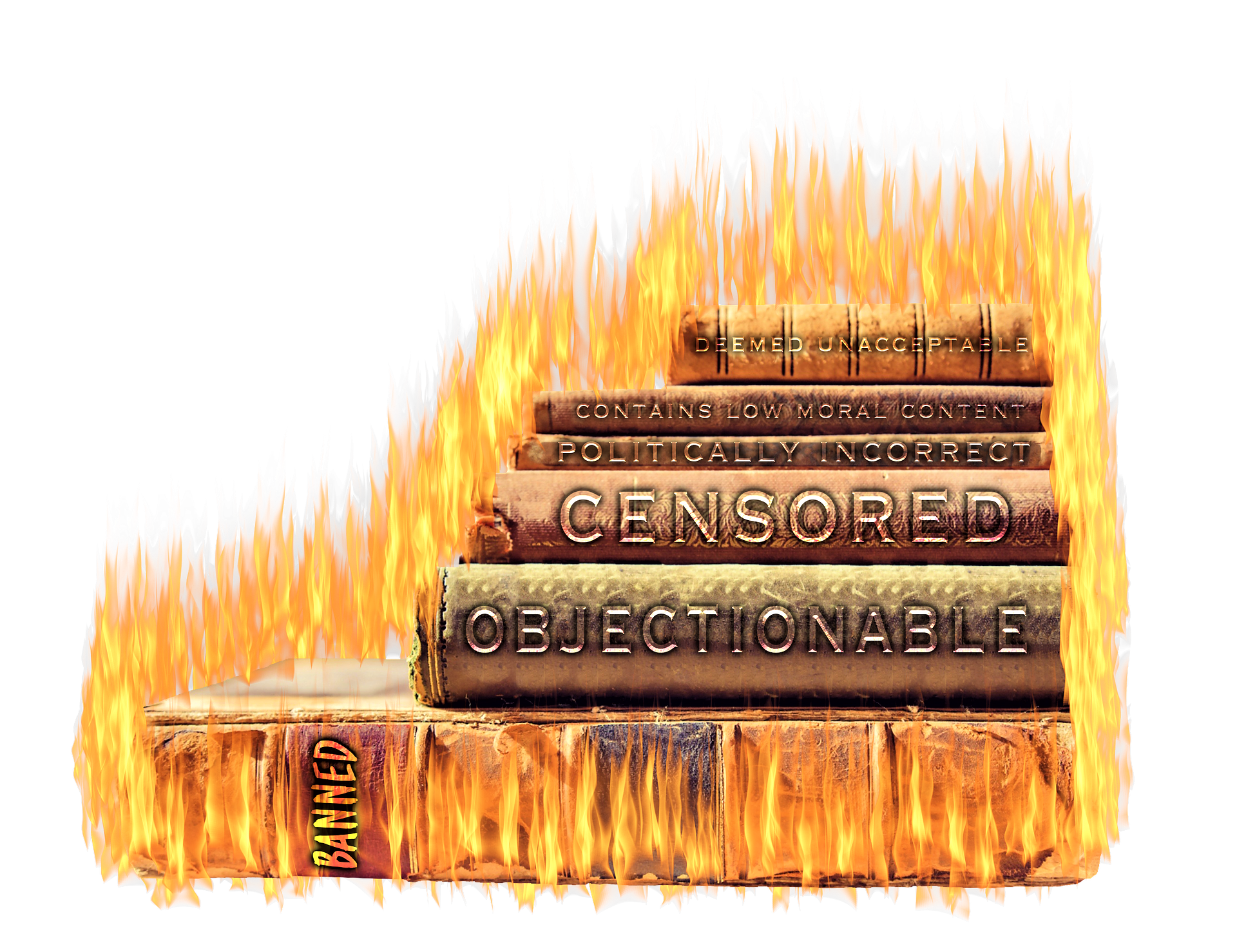 Searching for Middle Ground: Alternatives to Book Censorship - Good e-Reader