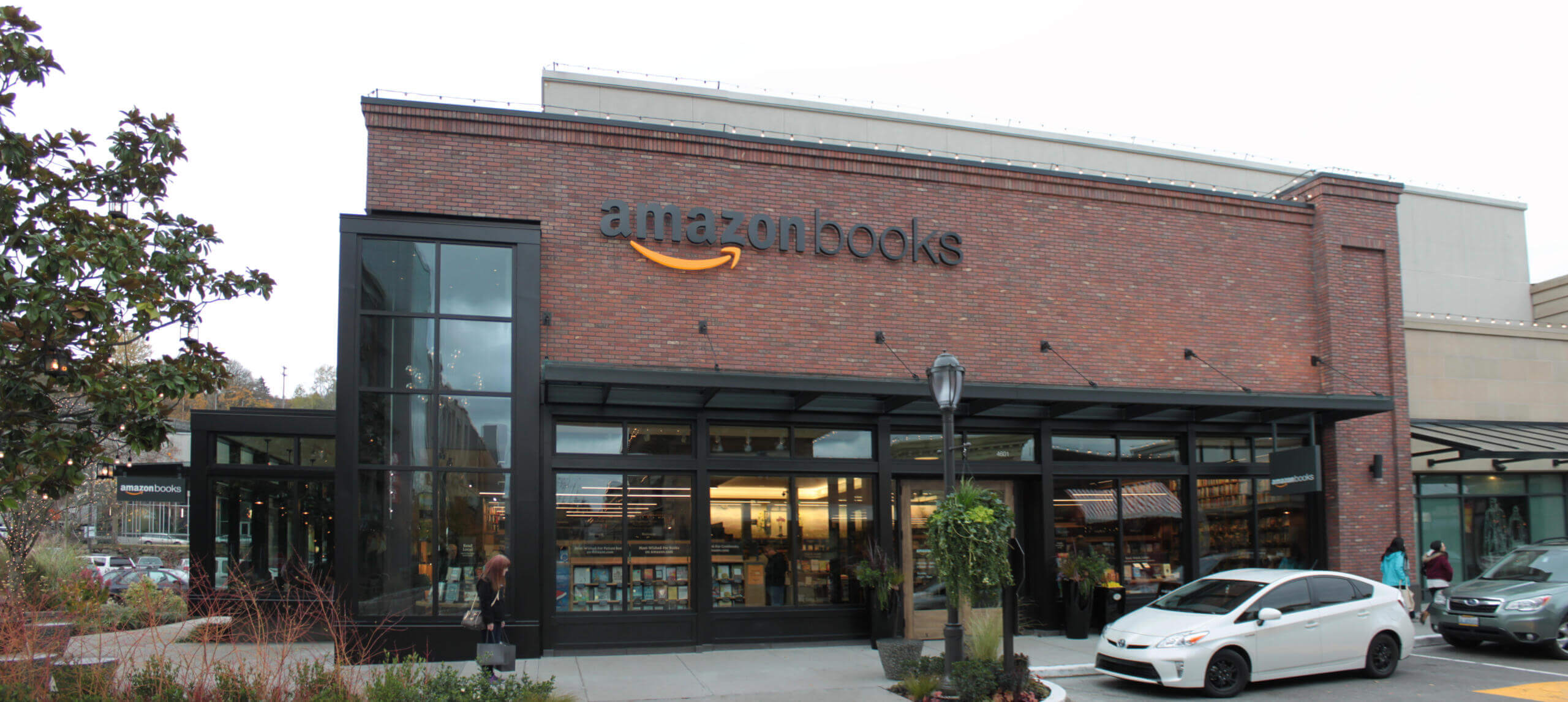 book piracy amazon