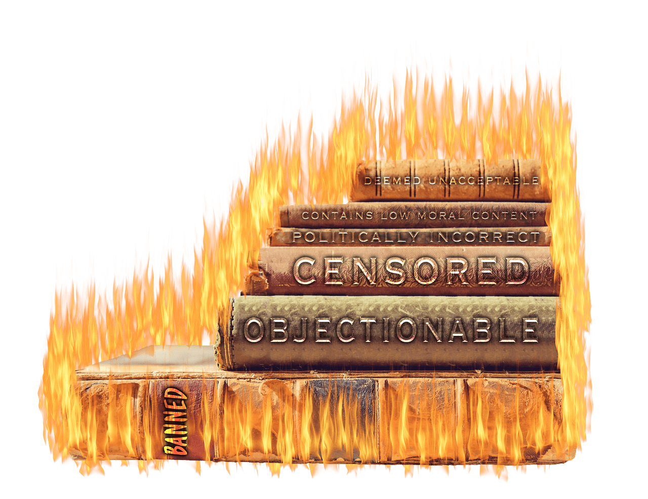 Book Banning Increases Curiosity