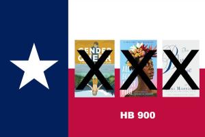 Texas Book Rating Law