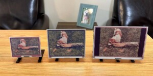 PiInk E-Ink photo Frame