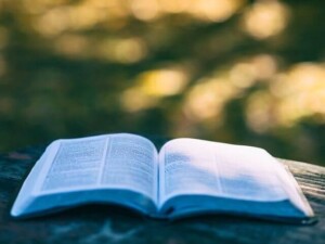 Best Anticipated Books 2023