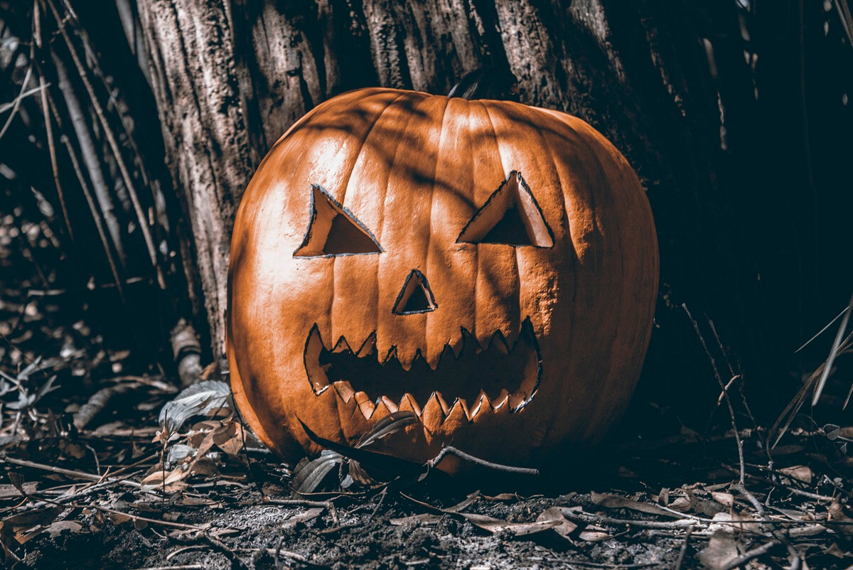 Horror Books for Halloween