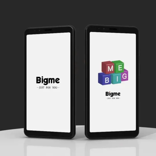Bigme HiBreak COLOR EINK Smartphone