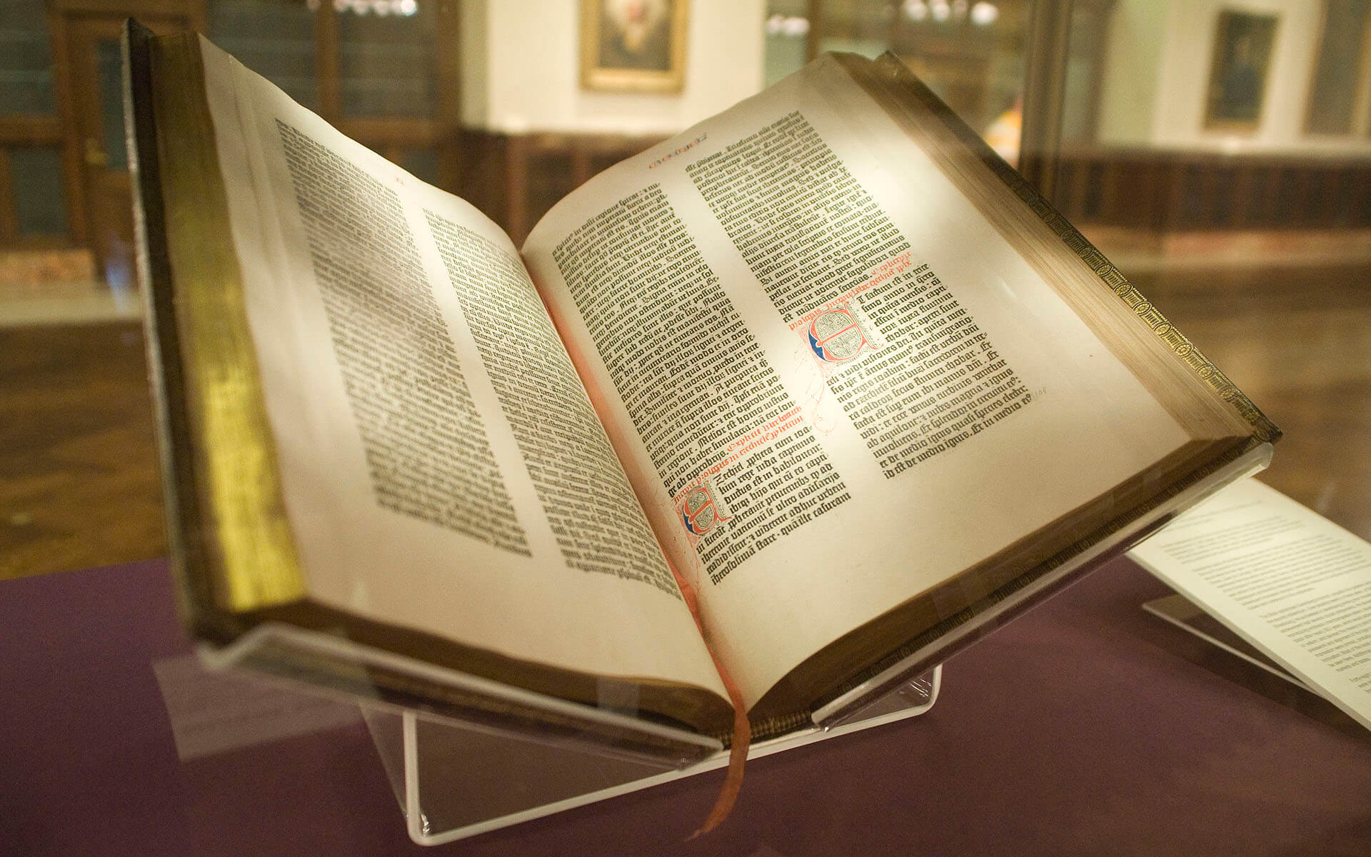 Bible reading Gen Z