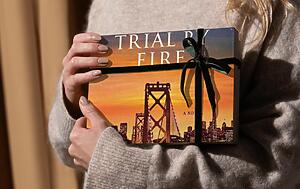 danielle steel trial by fire