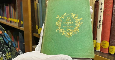 poisonous books
